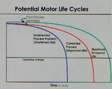 Potential Motor Life Cycles